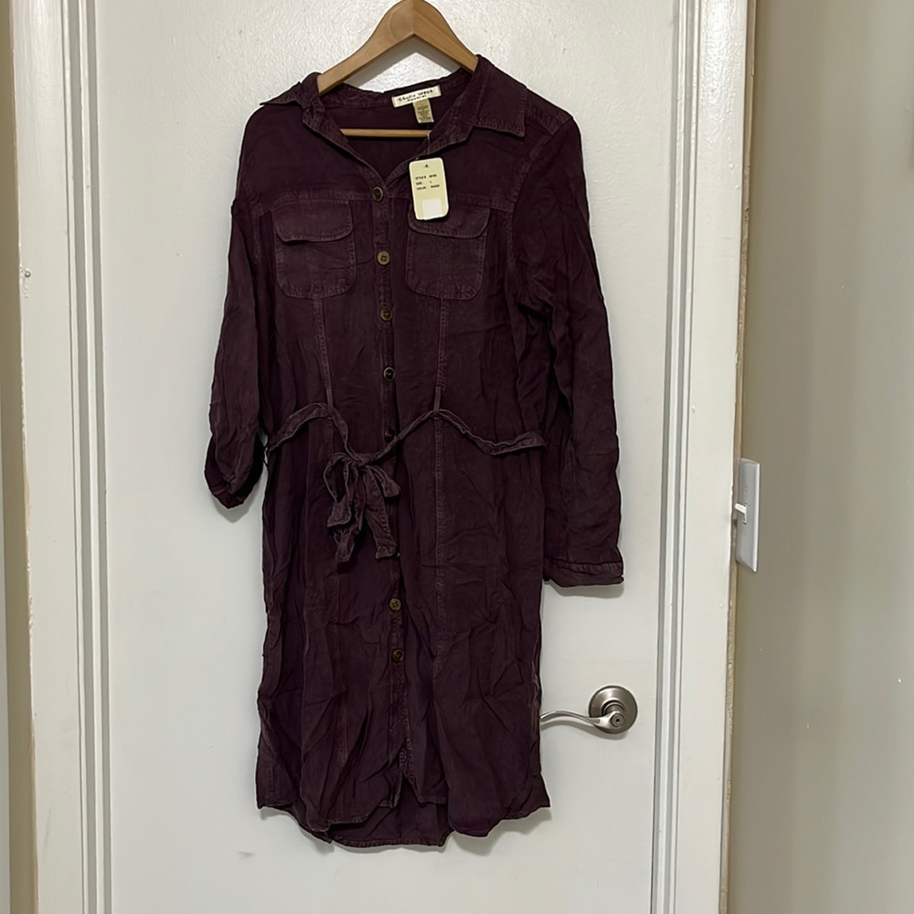 Rasin calf length Rayon Dress